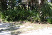 Site marker for #6 in front of sable palm and saw palmetto.
