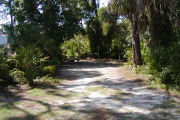 The mostly shaded gray ground is surrounded with palms, saw palmetto and some grass.