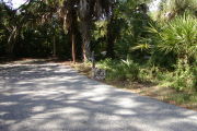 Asphalt paved site showing utility posts and clothes posts.