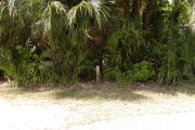 Site marker in front of palm and native shrubs