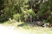 Utility posts with light brown rocks, oaks and native shrubs on grassy and gray ground