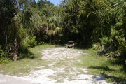 gray ground with grassy edges has picnic table on the left and ground grill and clothes post in the back with palms and oaks