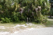 Site marker in front of vine covered palms and shrubs