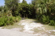 Picnic table and clothes posts in front of large tree on gray ground with grassy edge.