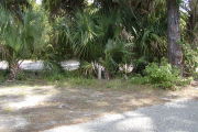 site marker in grass, palms and a shrub near asphalt pavement.