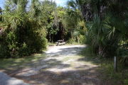 Picnic table, grill and clothes post back center in sun surrounded by palms and vines over shrubs.
