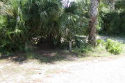 Site marker in front of palm and palmettos on grass.