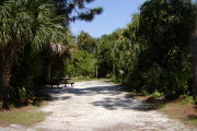 Tall palms shade the picnic table on the left, clothes posts in the back with gray ground in sun.
