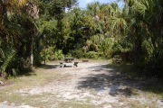 Picnic table and grill with palms around edges.