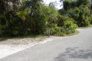 Site marker on gray ground next to paved road with green shrubs behind.