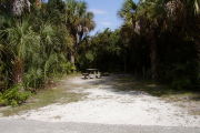 Picnic table center back on gray ground surrounded by palms