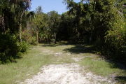 Site is mostly grassy surrounded by palms and shrubs