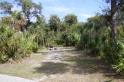 Picnic table and cloths post in back of site with trees around.