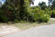 Site marker in front of trees and shrubs near the road.