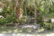 Utility posts behind rock with palms and oaks.