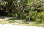 Site marker in grass with palmetto behind.