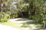 Picnic table and grill to the left rear of the site surrounded with trees.