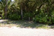 Site marker in the shade of large tree with green shrubs around.