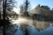 The sun highlights a morning fog rolling off the water at Lake Griffin State Park.