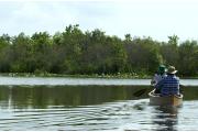Paddlers in a canoe enjoying the placid waters of Lake Griffin State Park.