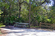 A fire ring and picnic table surrounded by dense green vegetation and rustic wooden fencing on campsite number one at Lake Griffin State Park