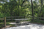 A fire ring, picnic table, and rustic wooden fencing, surrounded by dense green vegetation on campsite number two at Lake Griffin State Park