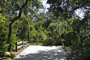 A picnic table, rustic wooden fencing, and recreational vehicle utility hook-ups, surrounded by dense green vegetation on campsite number two at Lake Griffin State Park