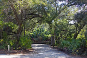 Bright sunlight filters through the dense green oak tree canopy, decorating the dirt and gravel pad on campsite number three Lake Griffin State Park