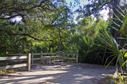A fire ring, picnic table, and rustic wooden fencing, surrounded by dense green vegetation on campsite number four at Lake Griffin State Park