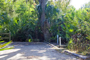 Recreational vehicle utility hook-ups surrounded by dense green vegetation with an azure sky peeking through the oak tree canopy on campsite number four at Lake Griffin State Park