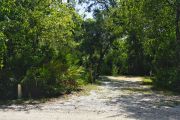 Bright sunlight filters through the dense green oak tree canopy, decorating the dirt and gravel pad on campsite number five at Lake Griffin State Park