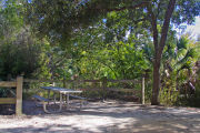 A fire ring, picnic table, and rustic wooden fencing, surrounded by dense green vegetation on campsite number five at Lake Griffin State Park