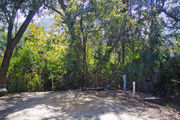 Recreational vehicle utility hook-ups surrounded by dense green vegetation, on campsite number five, at Lake Griffin State Park