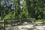 A fire ring, picnic table, and rustic wooden fencing, surrounded by dense green vegetation on campsite number seven at Lake Griffin State Park