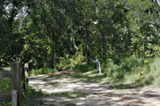 Recreational vehicle utility hook-ups surrounded by dense green vegetation, on campsite number seven, at Lake Griffin State Park