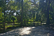 A fire ring, picnic table, and rustic wooden fencing, surrounded by dense green vegetation on campsite number nine at Lake Griffin State Park