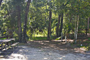 Recreational vehicle utility hook-ups and a picnic table surrounded by dense green vegetation, on campsite number nine, at Lake Griffin State Park