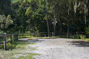 Bright sunlight filters through the dense green oak tree canopy, decorating the asphalt millings pad on campsite number eleven at Lake Griffin State Park