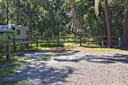 A fire ring, picnic table, and rustic wooden fencing, surrounded by dense green vegetation on campsite number eleven at Lake Griffin State Park