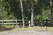 Recreational vehicle utility hook-ups nestled under two large longleaf pine trees with a rustic wooden fence backdrop on campsite number eleven at Lake Griffin State Park
