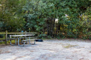 A fire ring, picnic table, and rustic wooden fencing, surrounded by dense green vegetation on campsite number thirteen at Lake Griffin State Park