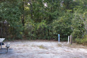 Recreational vehicle utility hook-ups surrounded by dense green vegetation on campsite number thirteen at Lake Griffin State Park