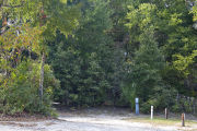 A crushed lime rock pad surrounded by dense green vegetation on campsite number fifteen at Lake Griffin State Park