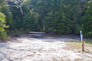 Dense green vegetation surrounds a fire ring and picnic table on campsite number fifteen at Lake Griffin State Park