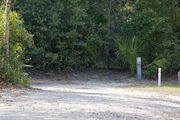 Recreational vehicle utility hook-ups and a picnic table surrounded by dense green vegetation on campsite number fifteen at Lake Griffin State Park