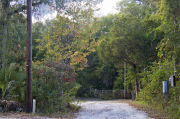 Photo: 016, LG01