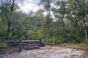 A picnic table, recreational vehicle utility hook-ups, and rustic wooden fencing are surrounded by a dense green oak hardwood forest on campsite number eighteen at Lake Griffin State Park