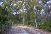 Recreational vehicle utility hook-ups and rustic wooden fencing are surrounded by a dense green oak hardwood forest on campsite number eighteen at Lake Griffin State Park