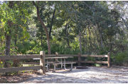 A picnic table, fire ring, and rustic wooden fencing are surrounded by a dense green oak hardwood forest on campsite number nineteen at Lake Griffin State Park