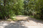 Bright sunlight filters through the dense green oak tree canopy, decorating the dirt and gravel pad on campsite number twenty at Lake Griffin State Park